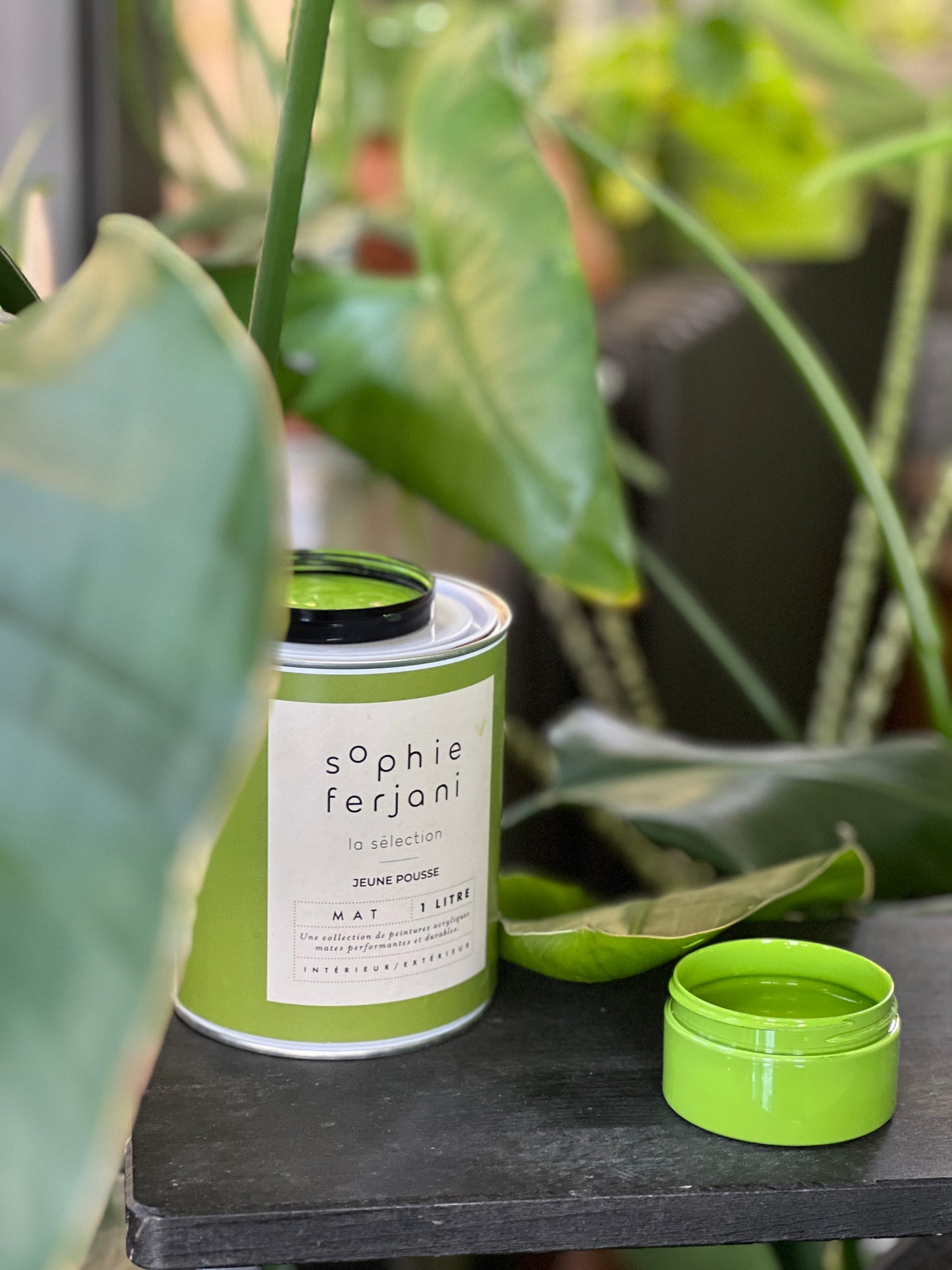 LES PEINTURES DE SOPHIE