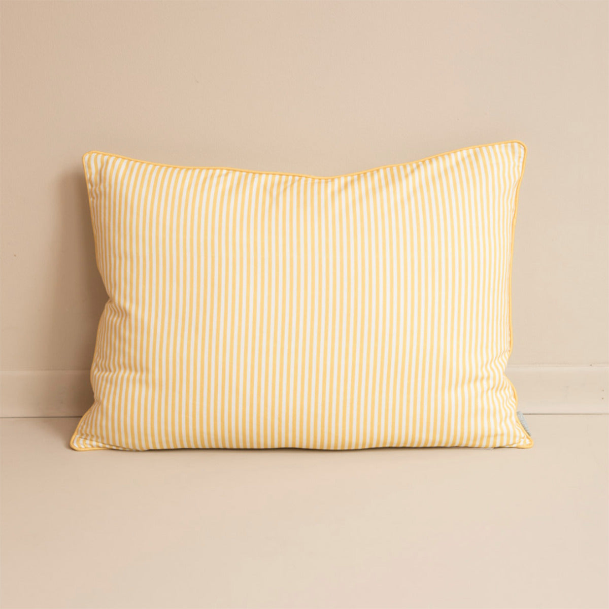 COUSSIN RAYURE