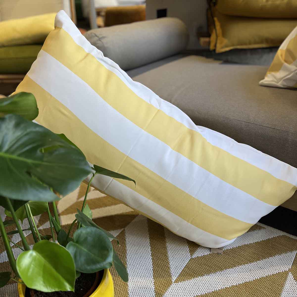COUSSIN RAVI