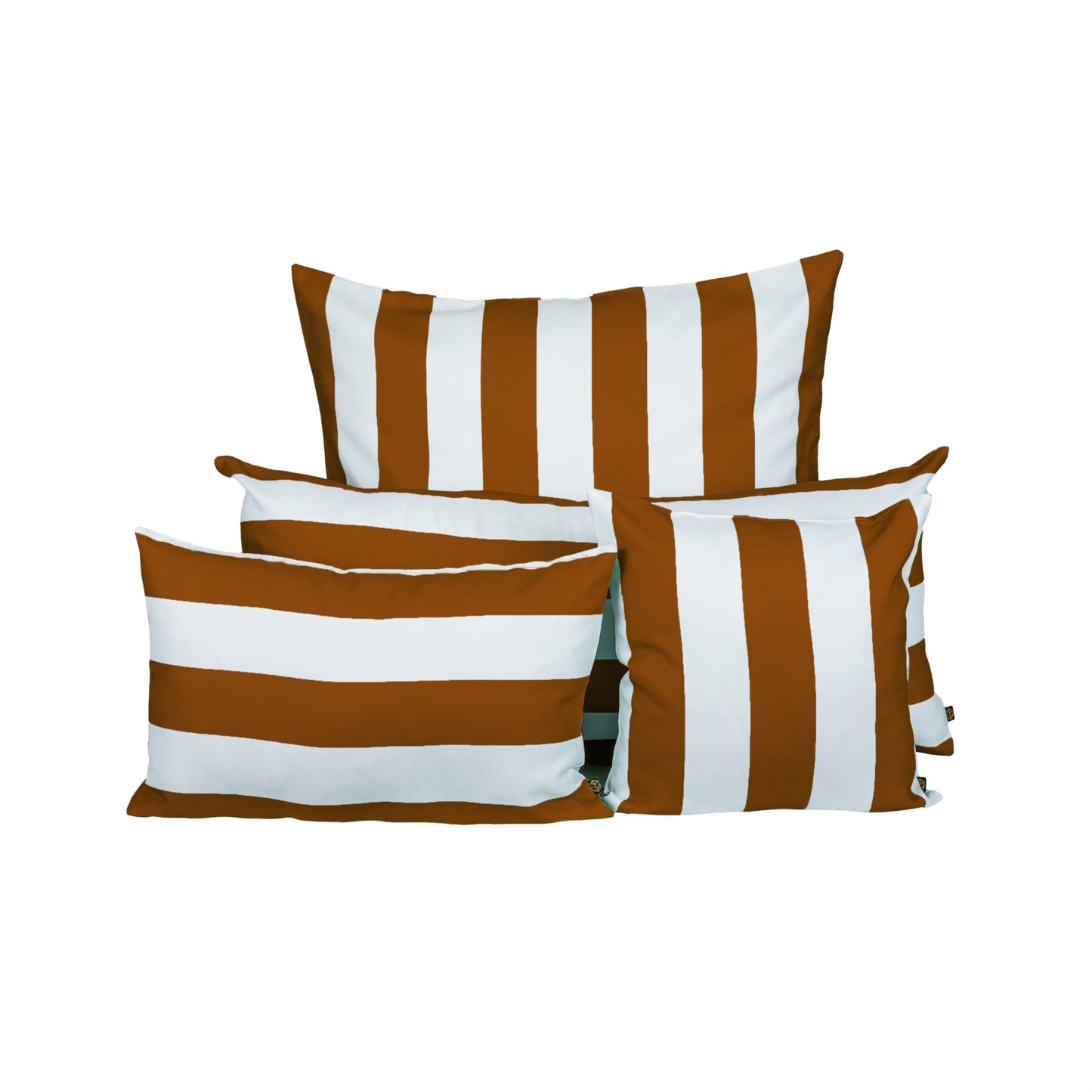 COUSSIN RAVI