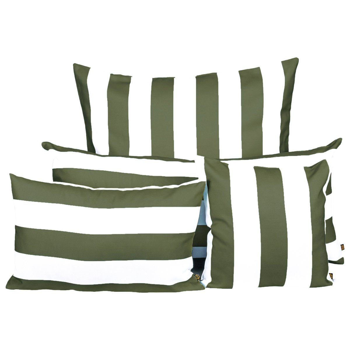 COUSSIN RAVI