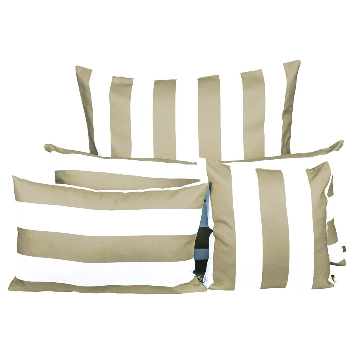 COUSSIN RAVI