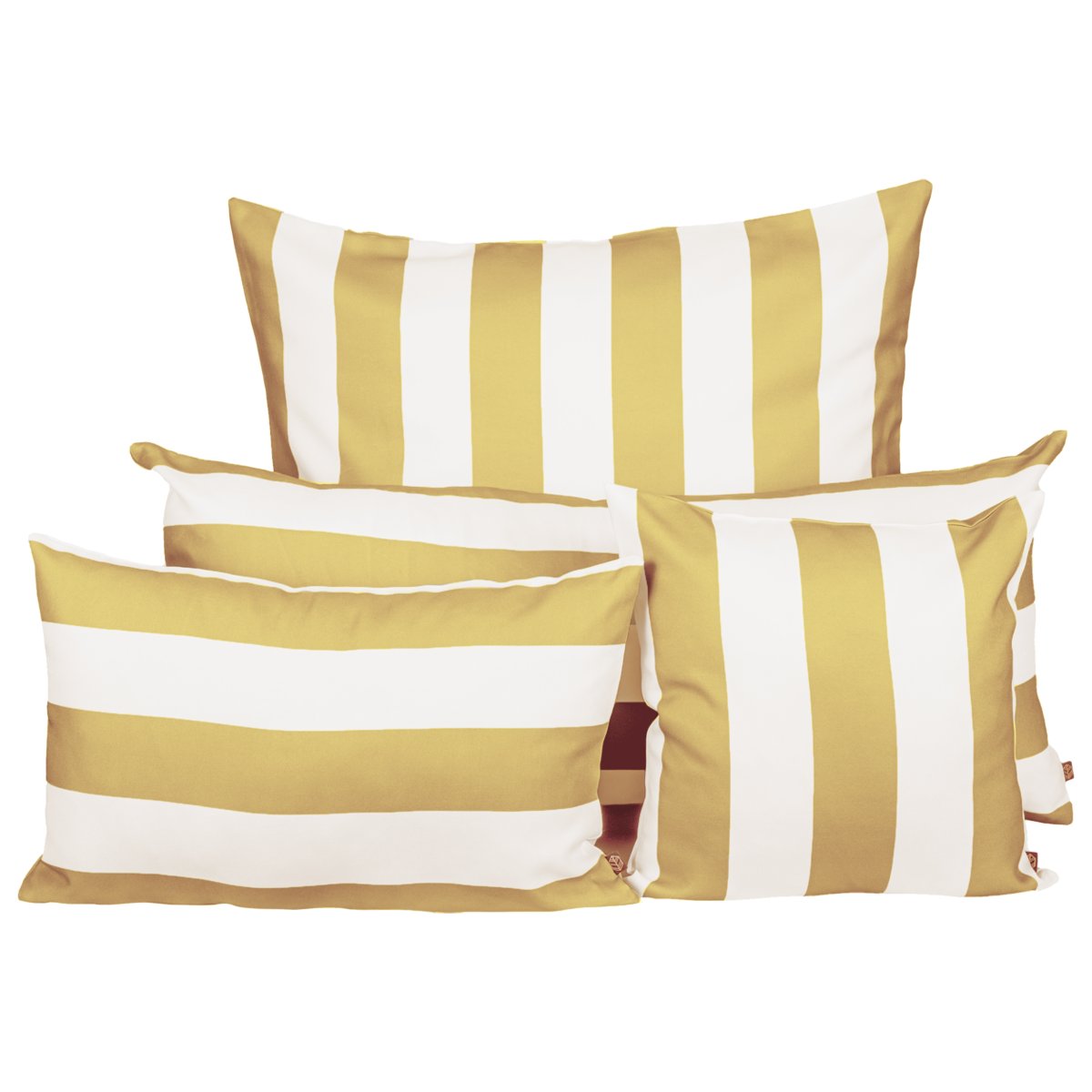 COUSSIN RAVI