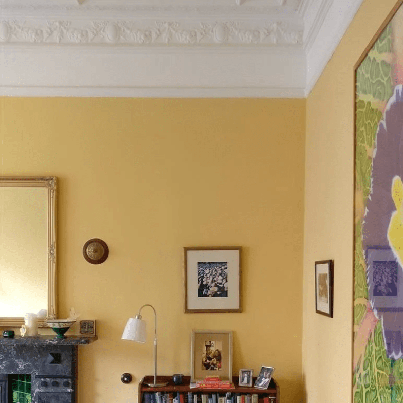 YELLOW GROUND N°218