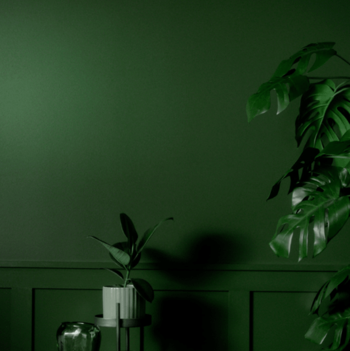 BEVERLY N°310
