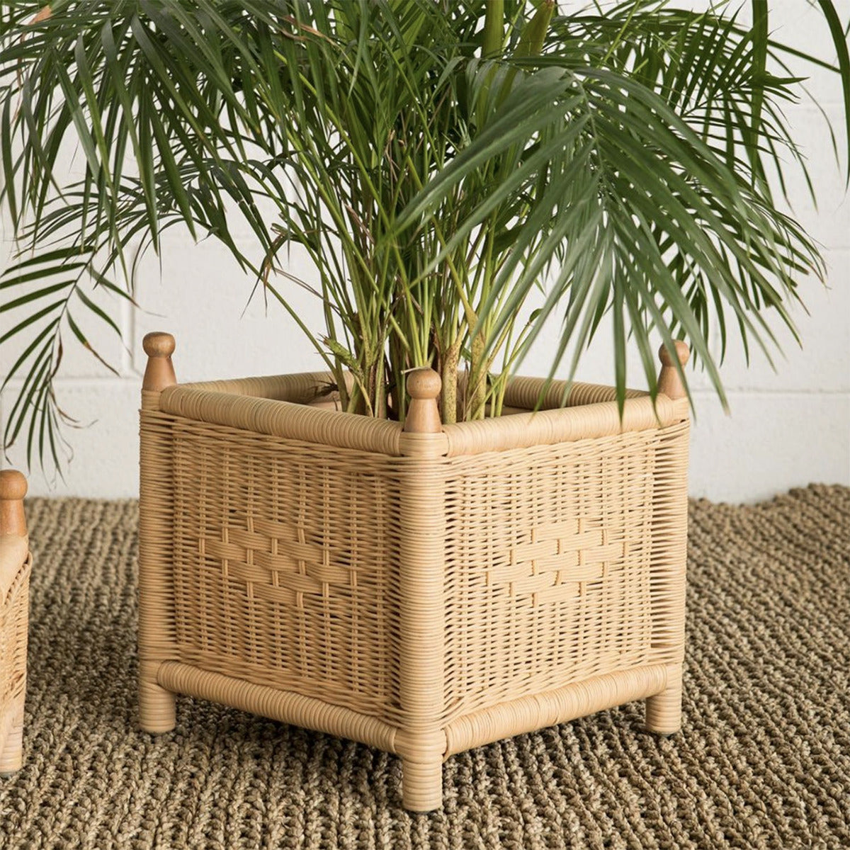 JARDINIÈRE EN ROTIN