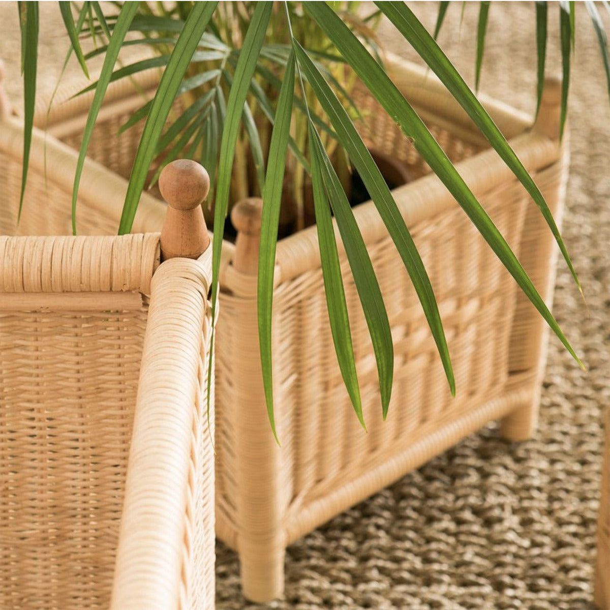 JARDINIÈRE EN ROTIN