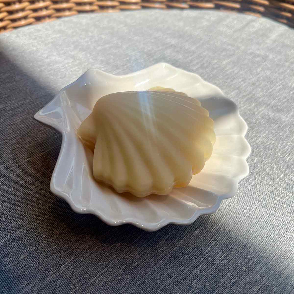 
                      
                        COFFRET PORTE SAVON CALYPSO
                      
                    