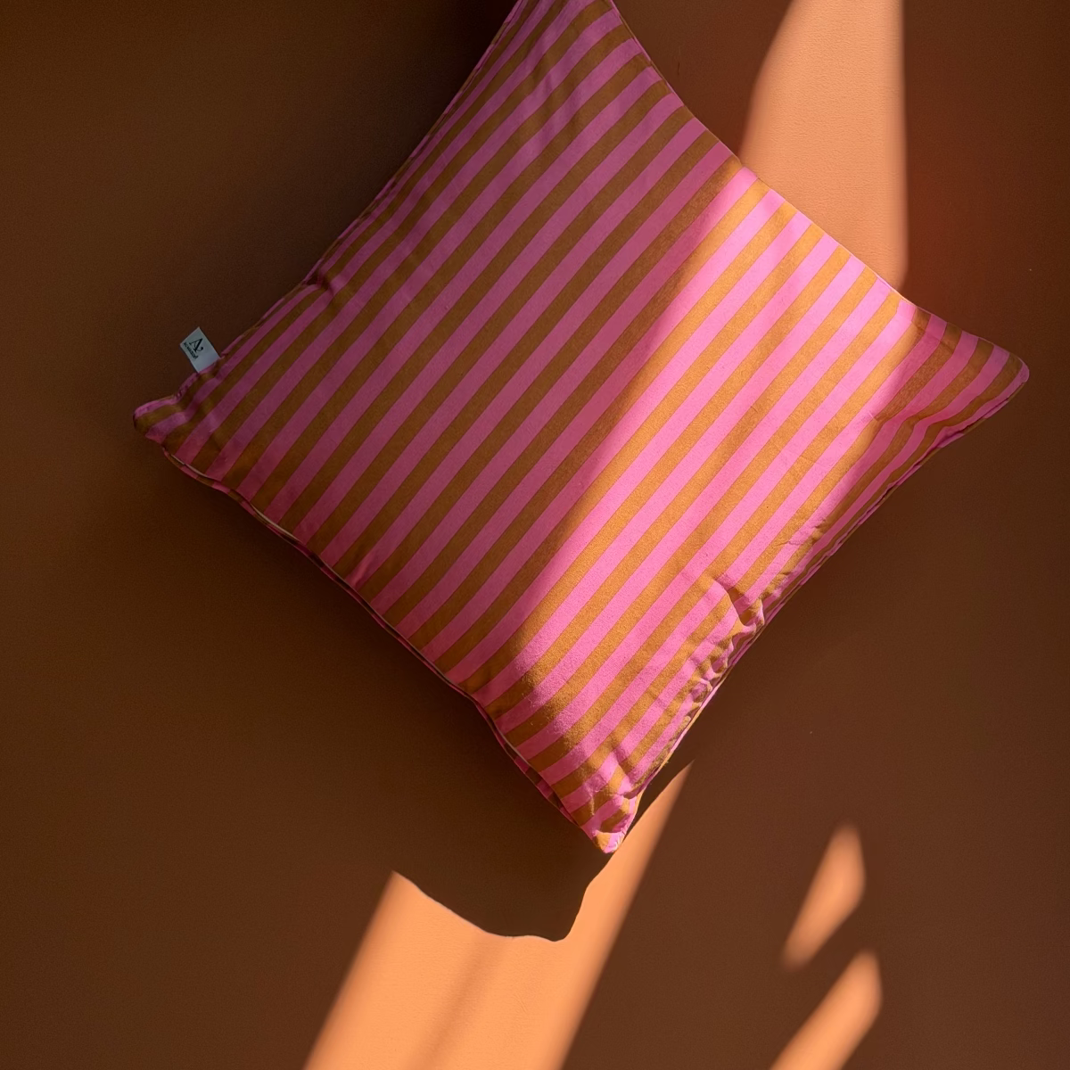 COUSSIN RAYURE