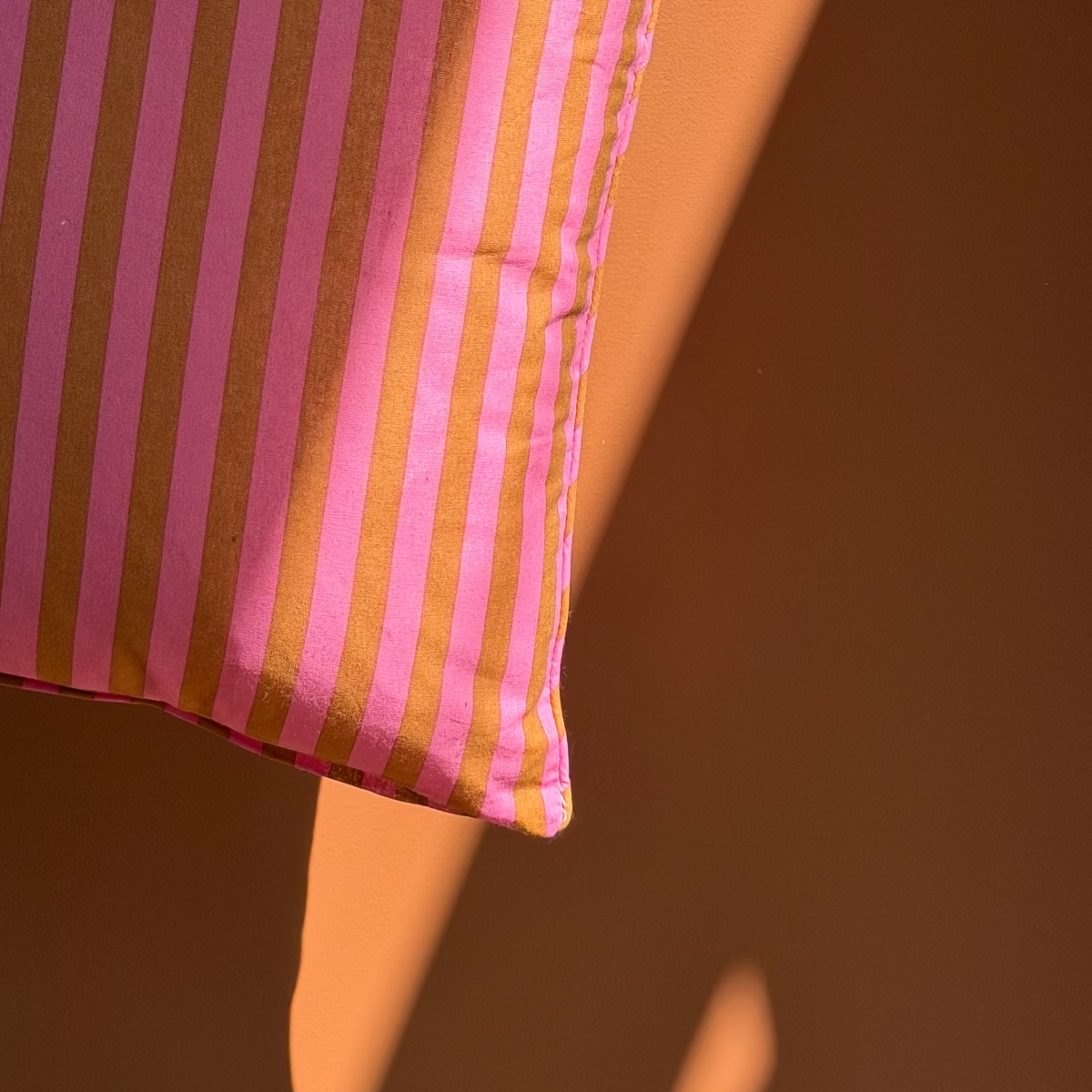 COUSSIN RAYURE