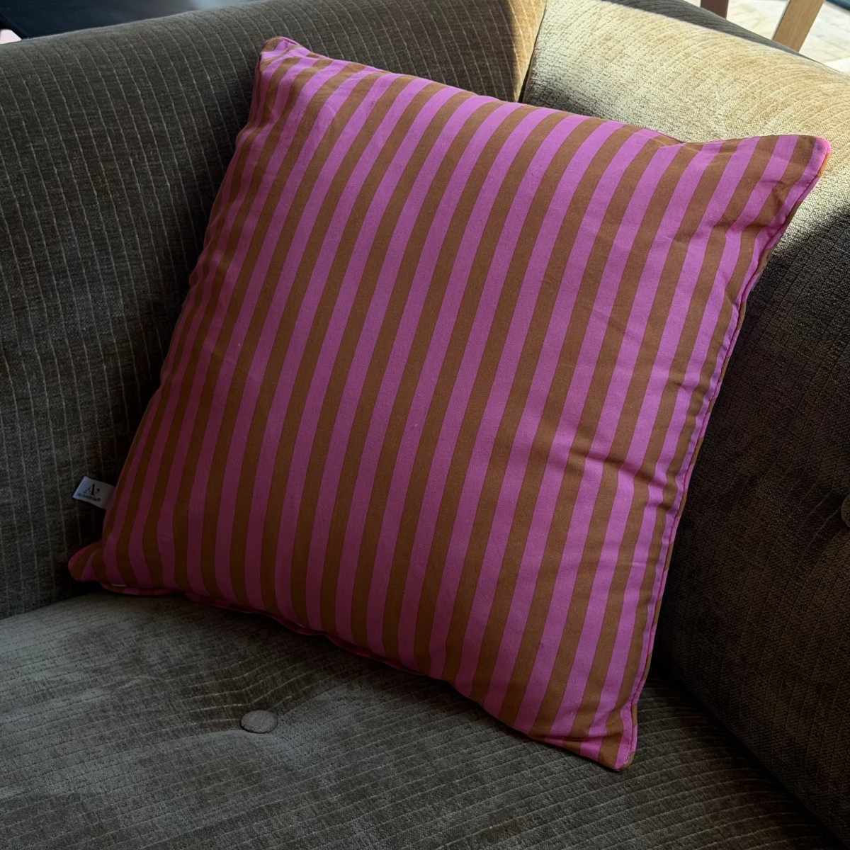 COUSSIN RAYURE