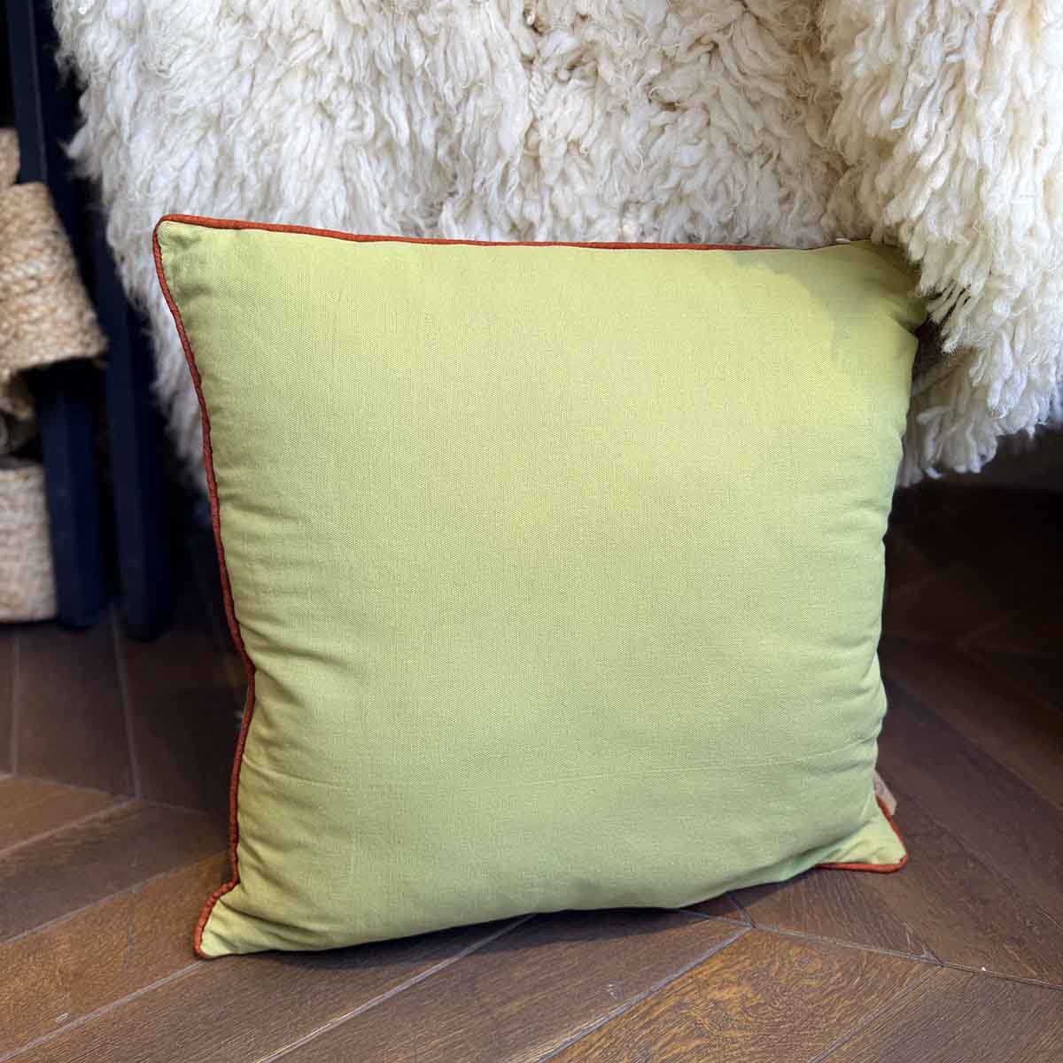 COUSSIN DRAGON