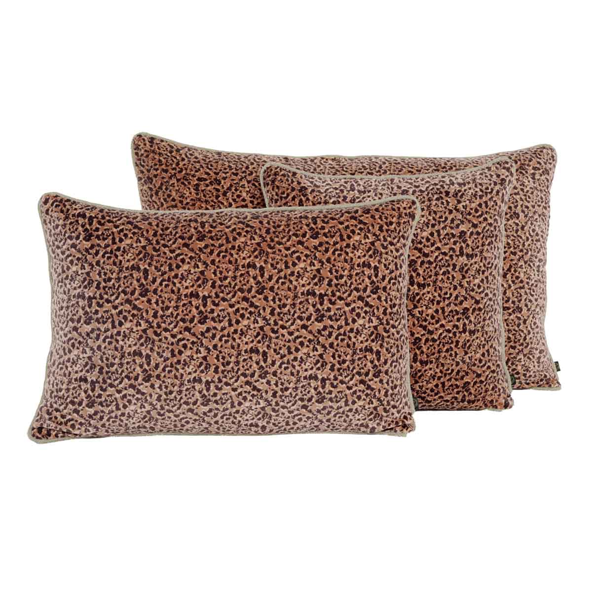 COUSSIN LÉO