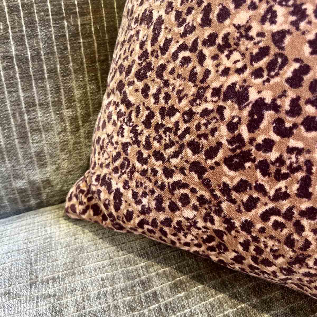 COUSSIN LÉO