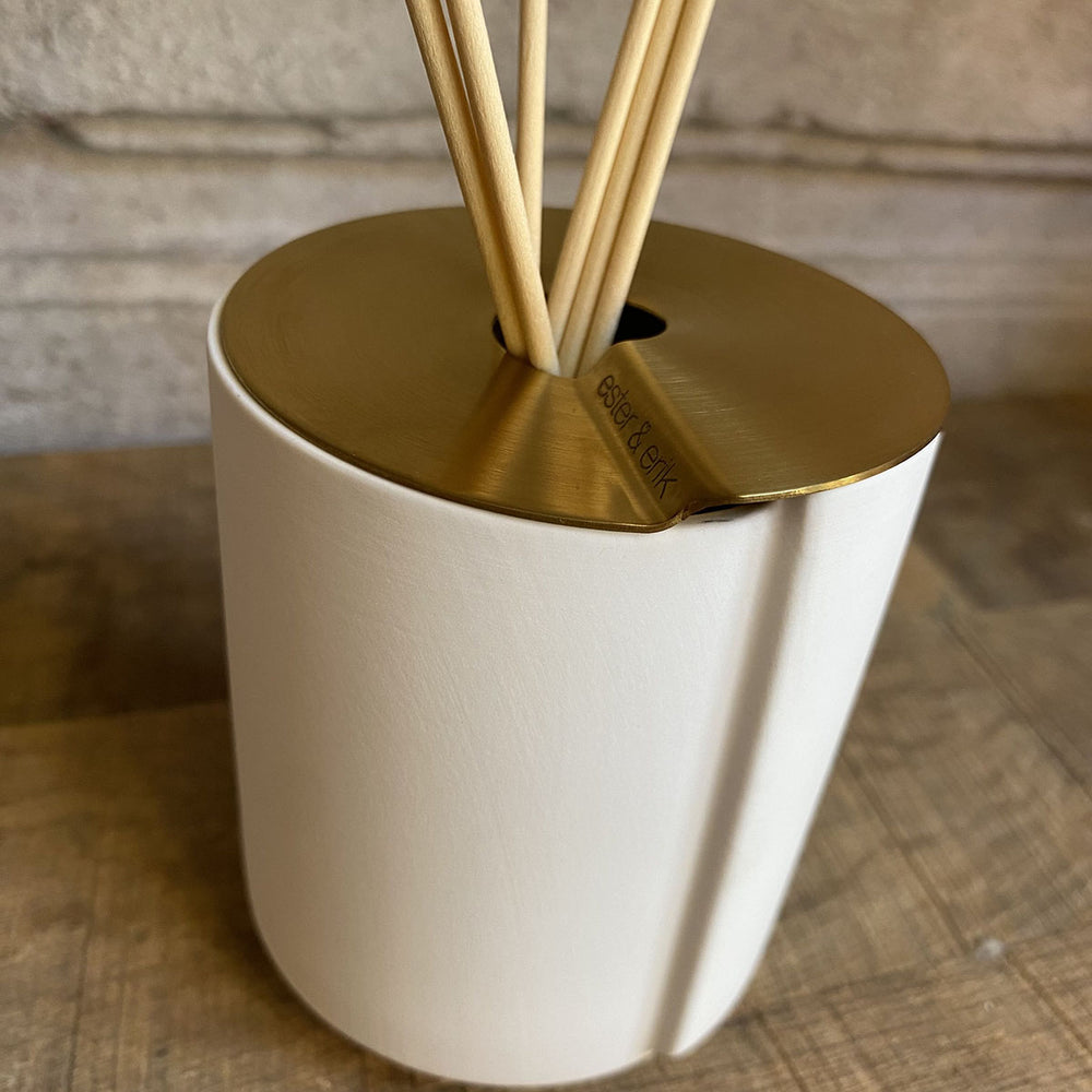 
                      
                        DIFFUSEUR BLANC PARFUMÉ
                      
                    