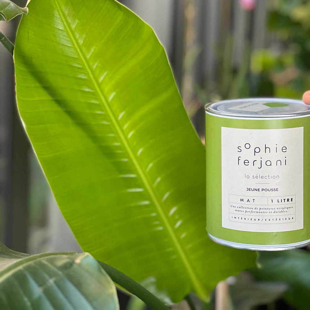 
                      
                        JEUNE POUSSE x SOPHIE FERJANI
                      
                    