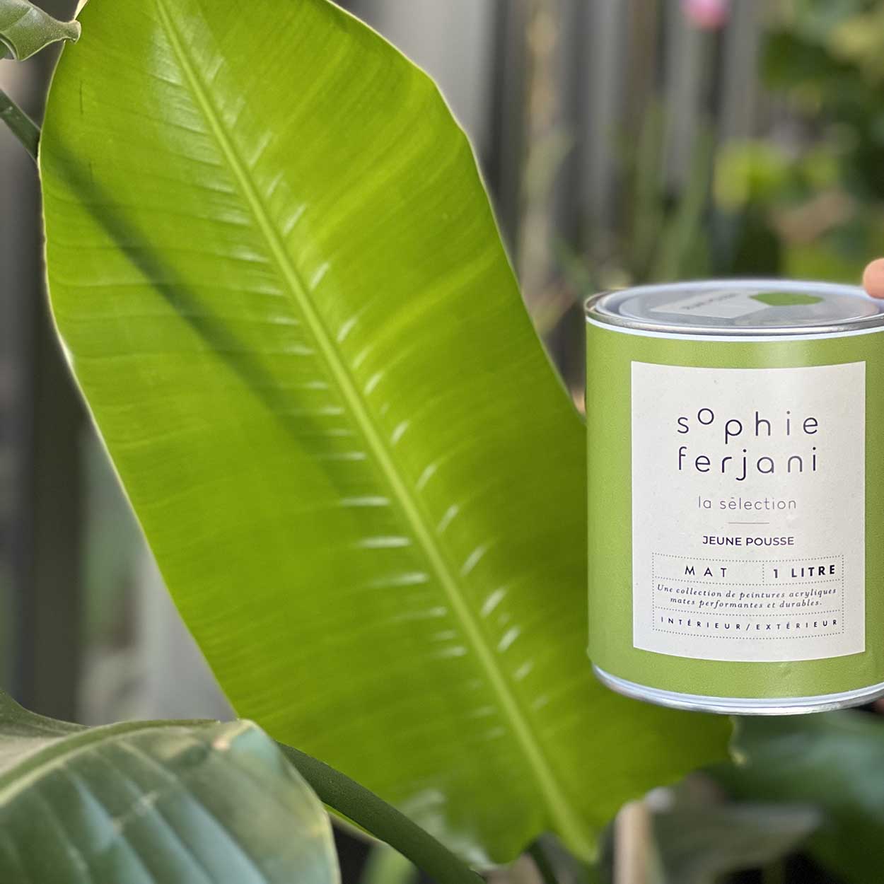 JEUNE POUSSE x SOPHIE FERJANI