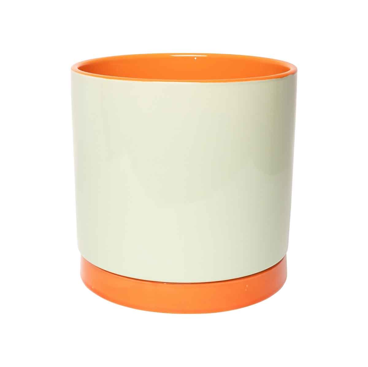 CACHE POT POP - MENTHE