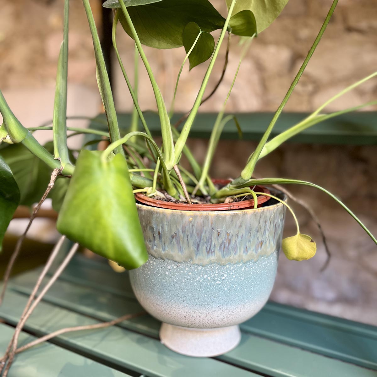 CACHE POT LAGOON