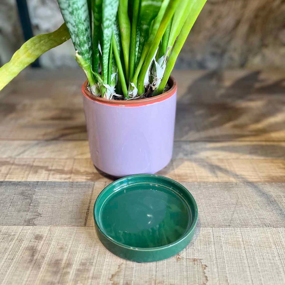 
                      
                        CACHE POT POP - VIOLET
                      
                    