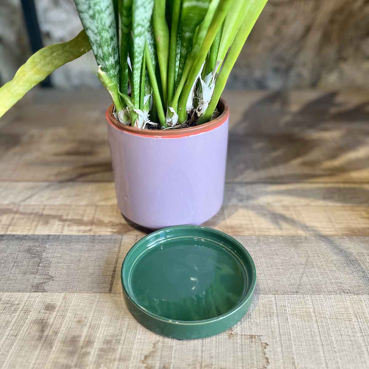 CACHE POT POP - VIOLET