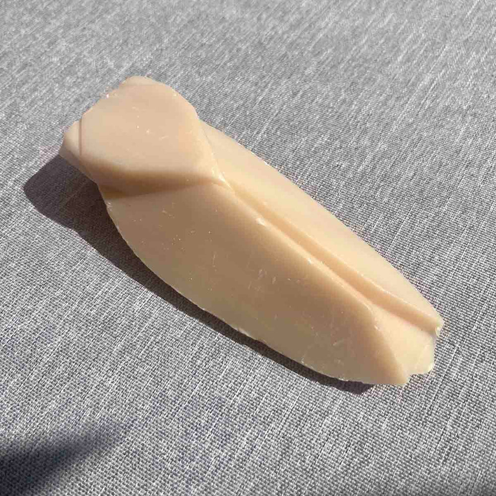 
                      
                        SAVON VÉGÉTAL CIGALE
                      
                    