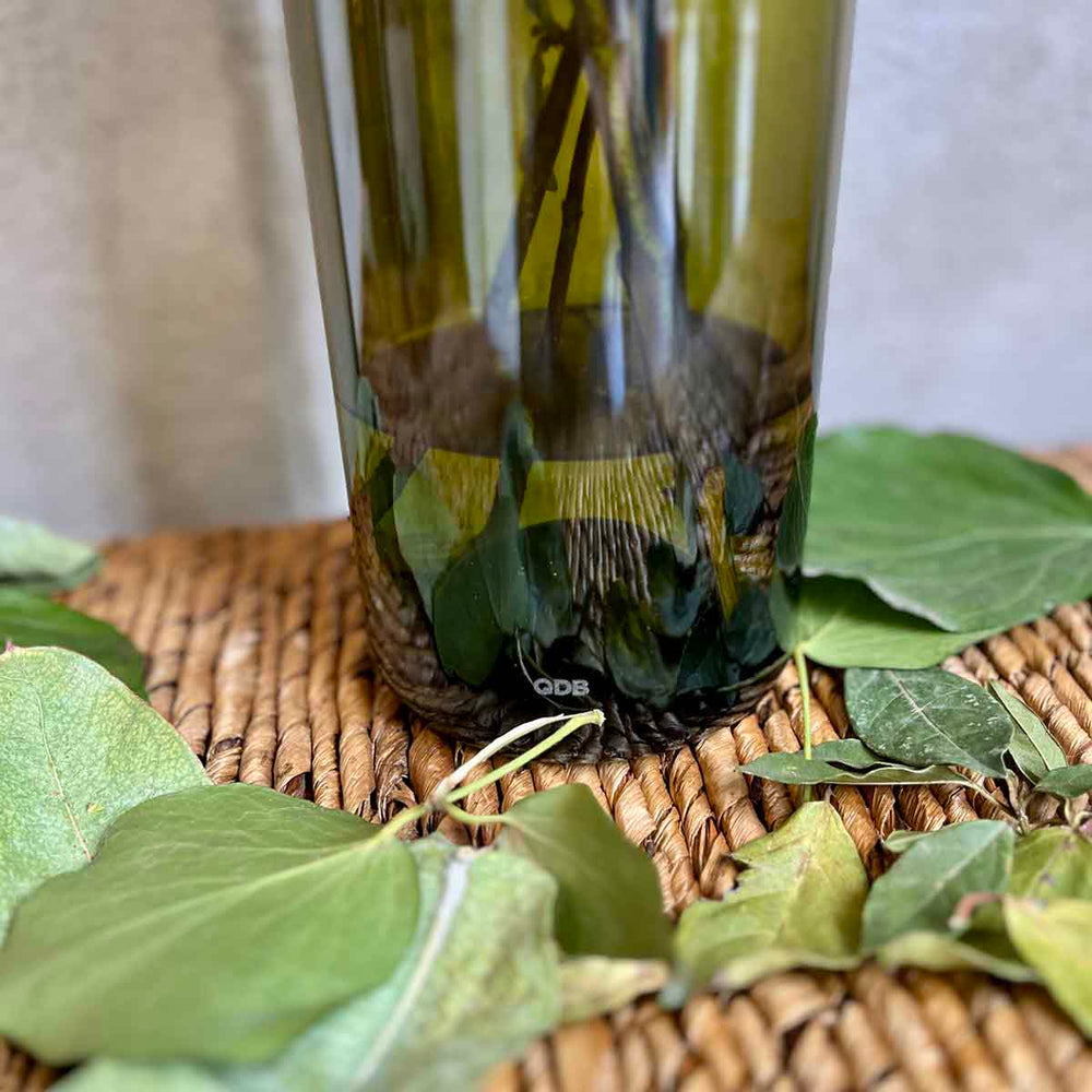 
                      
                        VASES BOUTEILLE - VERT FEUILLE
                      
                    