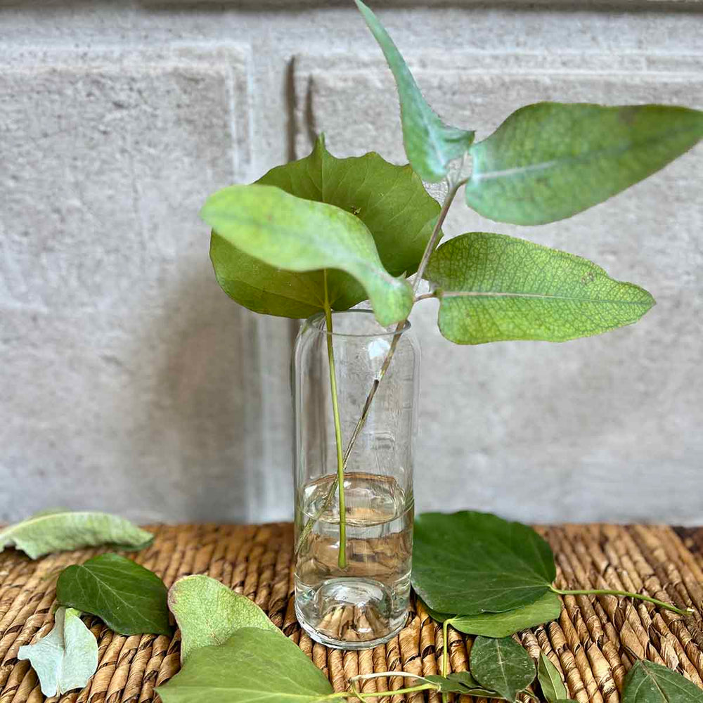 VASES BOUTEILLE - BLANC