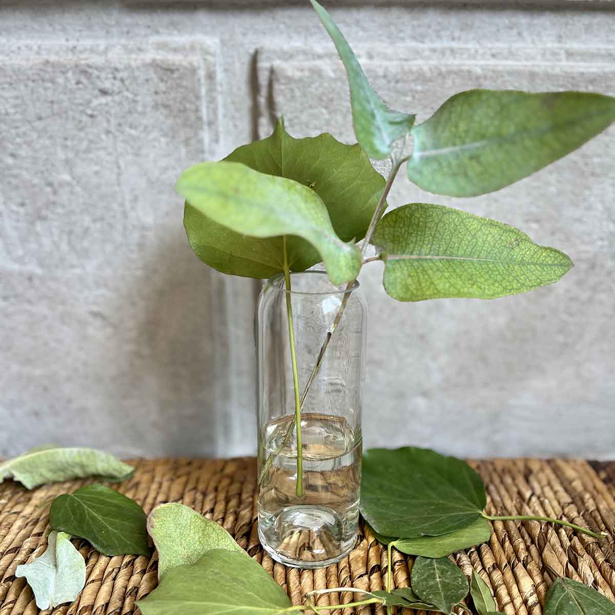 VASES BOUTEILLE - BLANC