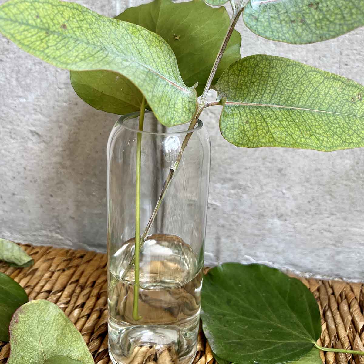 VASES BOUTEILLE - BLANC